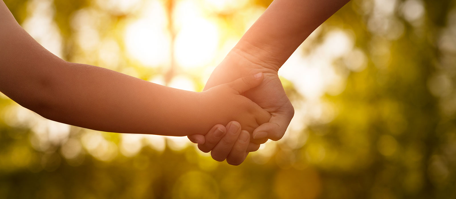 close up of parent and child holding hands